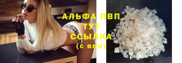 спайс Новодвинск